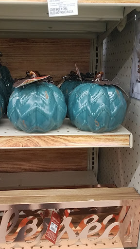 Discount Store «Big Lots», reviews and photos, 1941 Veterans Blvd, Dublin, GA 31021, USA