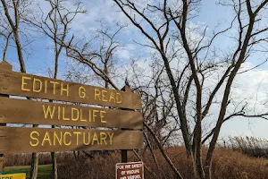 Edith G. Read Natural Park and Wildlife Sanctuary image