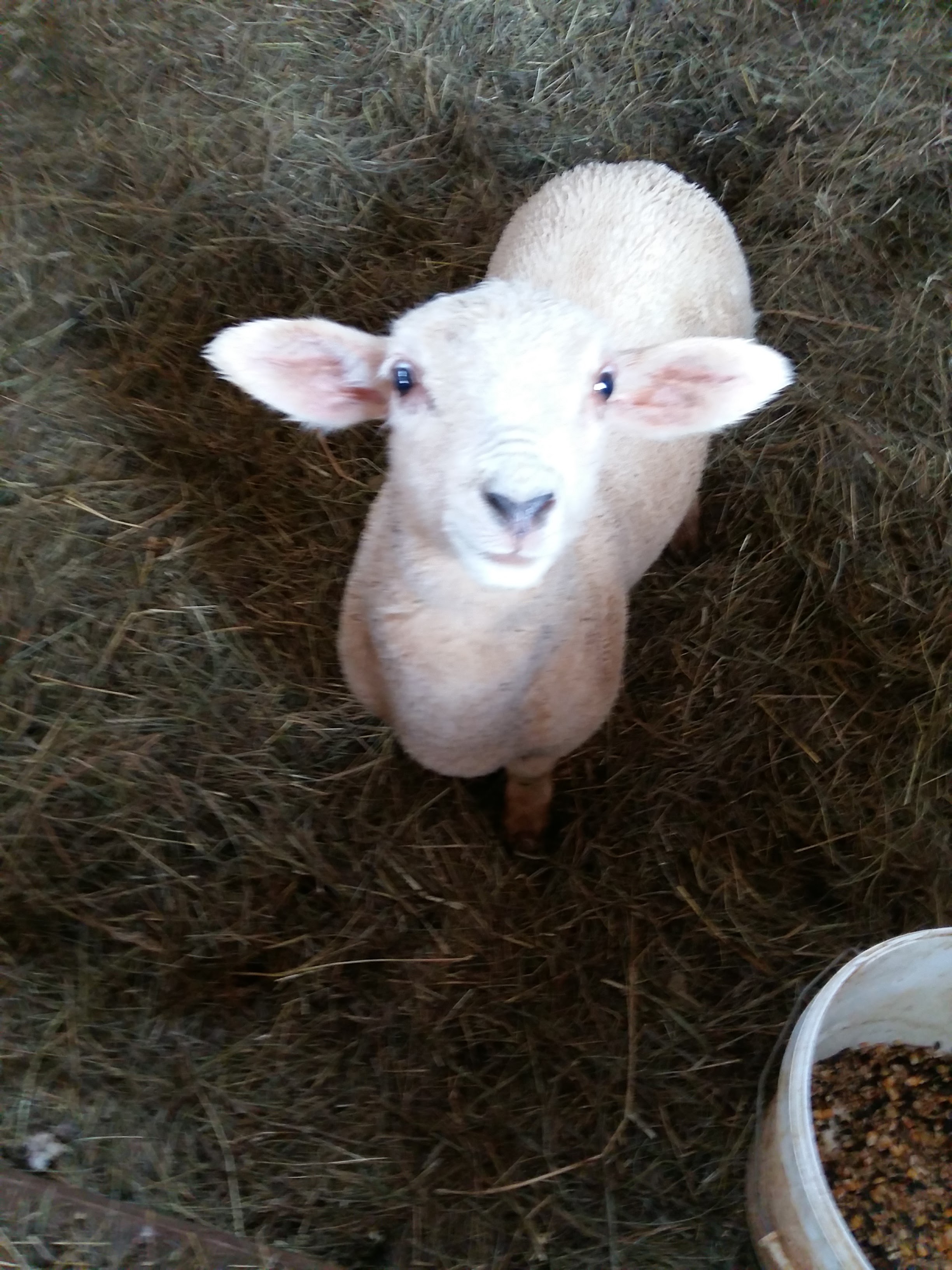 Photo n° 1 de l'avis de Jack.a fait le 24/03/2018 à 19:46
