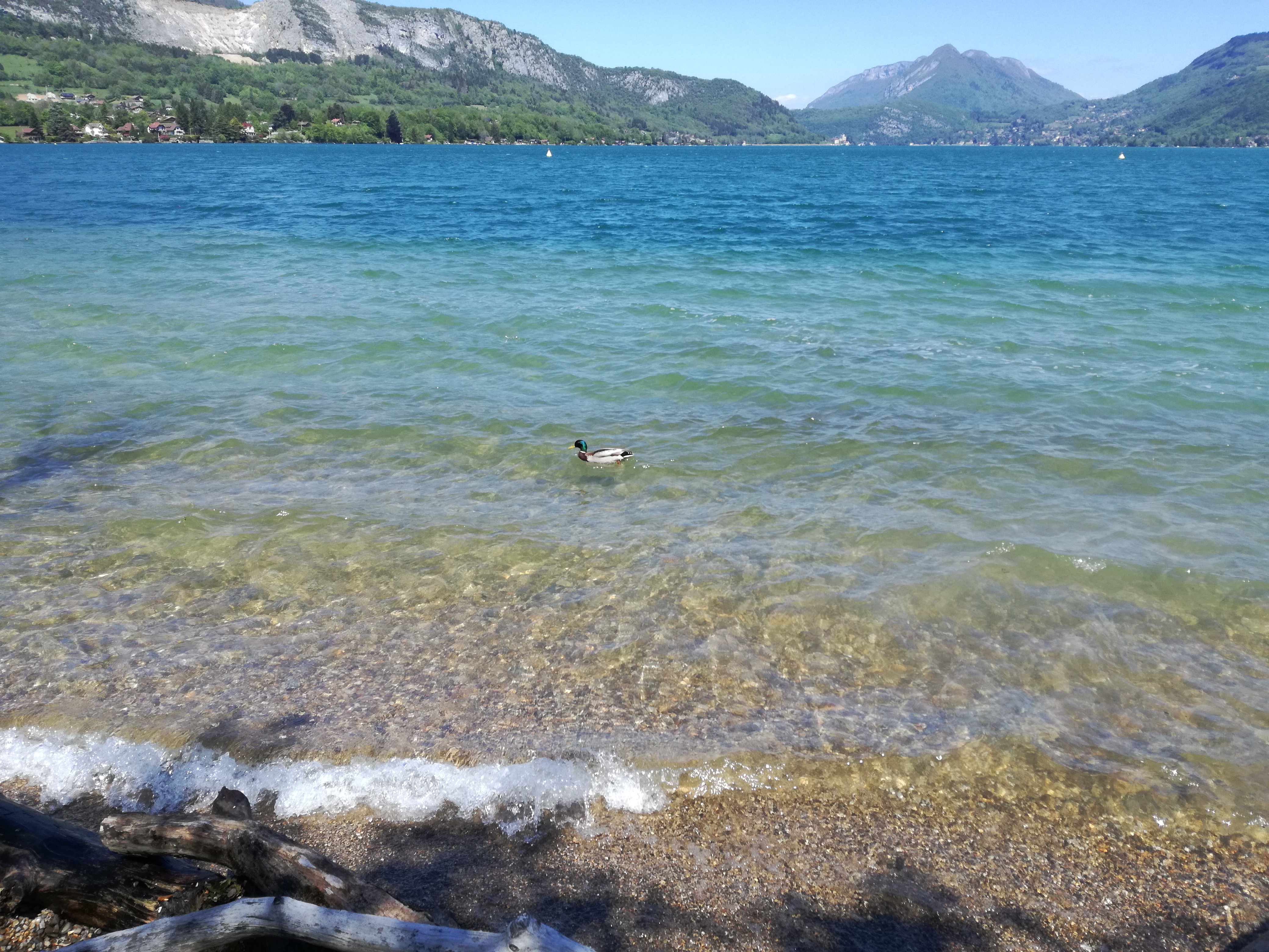 Photo n° 1 de l'avis de Olivier.h fait le 05/06/2019 à 13:31
