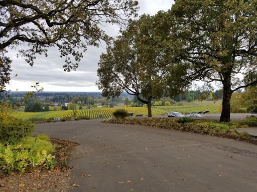 Winery «Sokol Blosser Winery», reviews and photos, 5000 NE Sokol Blosser Ln, Dayton, OR 97114, USA