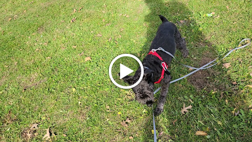 Fortress «Battery Weed», reviews and photos, N Weed Rd, Staten Island, NY 10305, USA