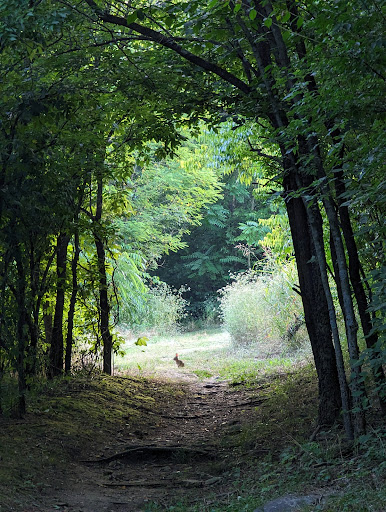 Stephen’s Way