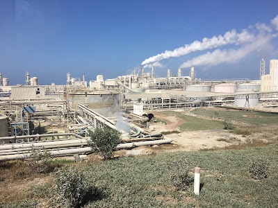 Photos of Morocco Phosphorus 1