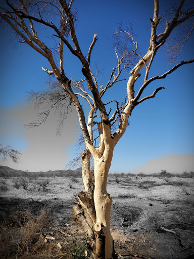 Nature Preserve «Cave Buttes Recreation Area», reviews and photos, N 7th St & E Happy Valley Rd, Phoenix, AZ 85024, USA