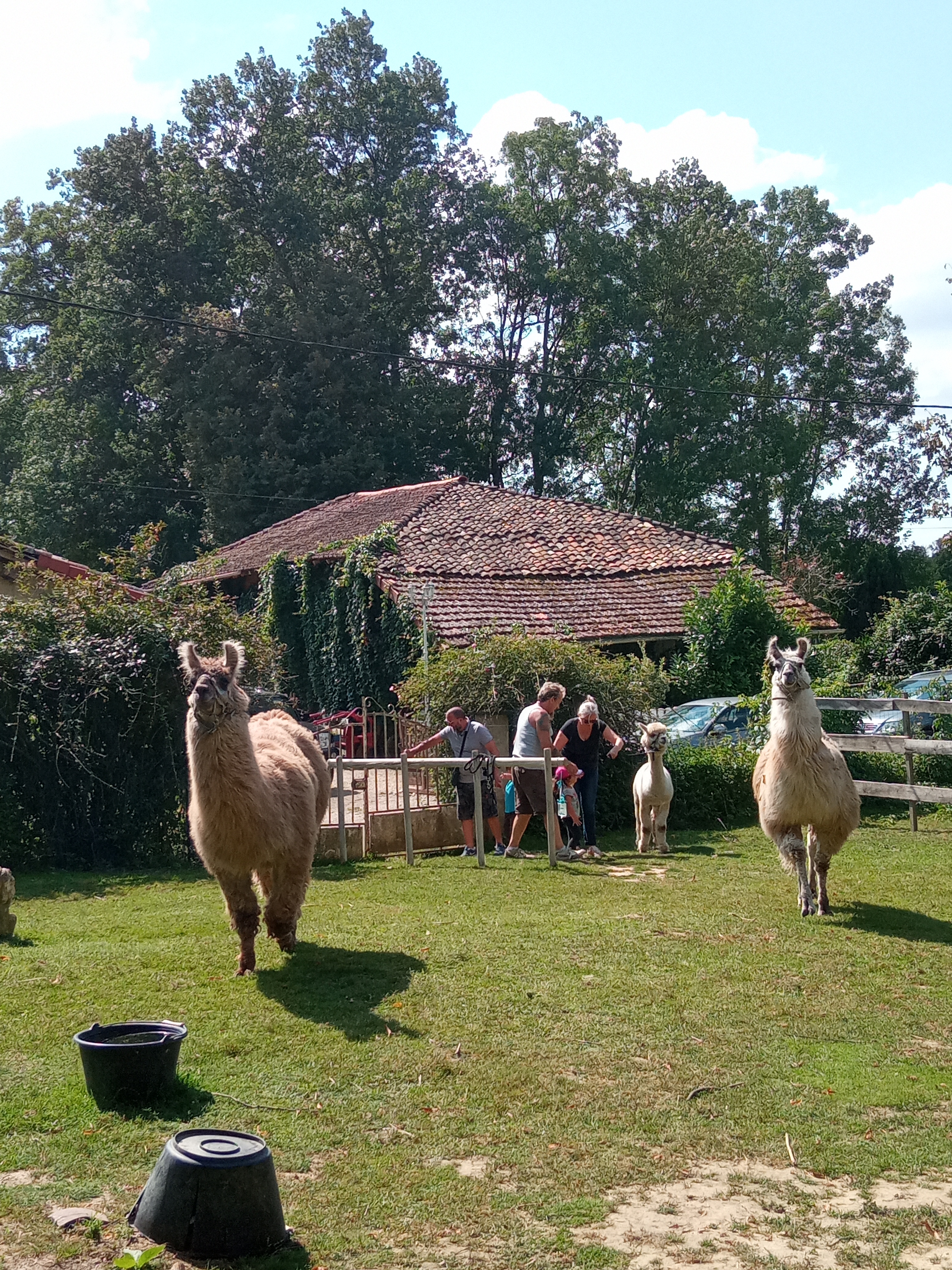 Photo n° 4 de l'avis de bribri.r fait le 31/08/2021 à 14:54