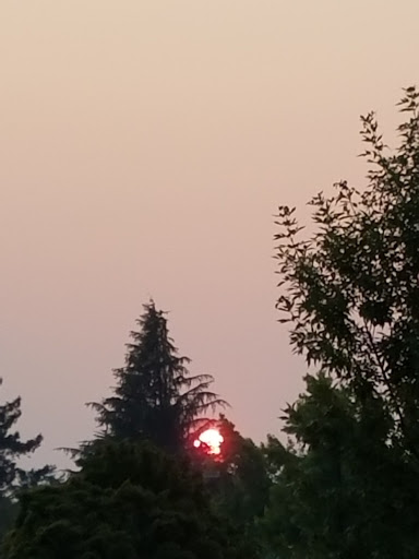 Supermarket «Walmart Neighborhood Market», reviews and photos, 15600 SE McLoughlin Blvd, Milwaukie, OR 97267, USA