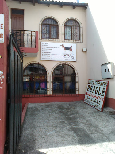 Clinica Veterinaria Beagle - Quito