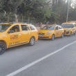 Soli Hemen Taksi