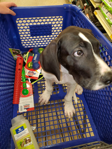 Pet Supply Store «PetSmart», reviews and photos, 916 Loganville Hwy, Bethlehem, GA 30620, USA