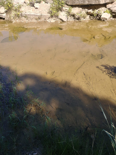 Gift Shop «Dinosaur Valley State Park Store», reviews and photos, 1629 Park Rd 59, Glen Rose, TX 76043, USA