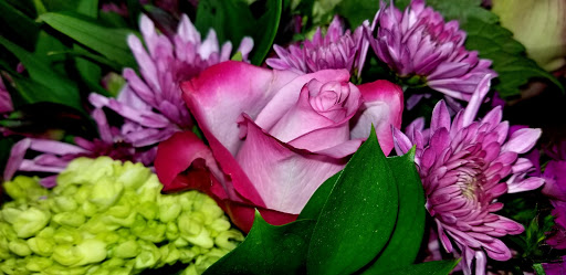 Grocery Store «Safeway», reviews and photos, 406 N Main St, Sebastopol, CA 95472, USA