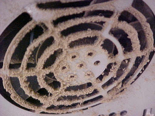 Computer Store «No Name Technologies», reviews and photos, 104 Carrington Park Dr b, Gainesville, GA 30504, USA