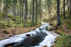 Kauhaneva-Pohjankangas national park image