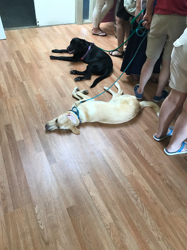 Winery «Benmarl Winery», reviews and photos, 156 Highland Ave, Marlboro, NY 12542, USA