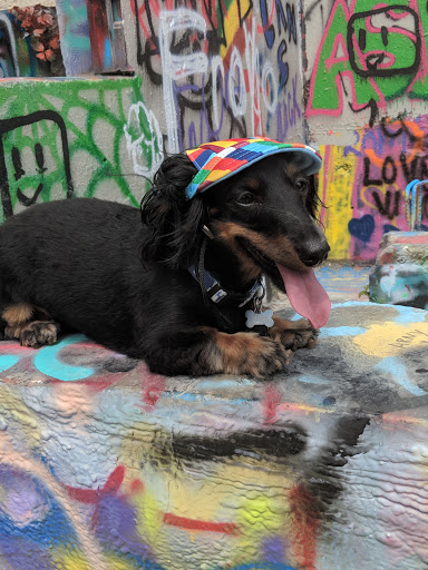 Art Gallery «HOPE Outdoor Gallery», reviews and photos, 1101 Baylor St, Austin, TX 78703, USA