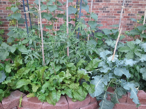 Raw Food Restaurant «Treehouse For Earths Children Holistic Center», reviews and photos, 22906 Mooney St, Farmington, MI 48336, USA