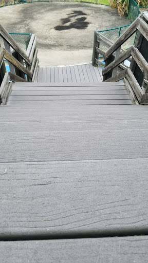 Nature Preserve «Mobbly Bayou Wilderness Preserve», reviews and photos, 423 Lafayette Blvd, Oldsmar, FL 34677, USA