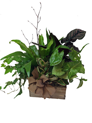 Florist «Foxgloves & Ivy Floral Design Studio», reviews and photos, 484 Moreland Ave NE, Atlanta, GA 30307, USA