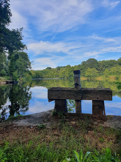 Redwood Lake