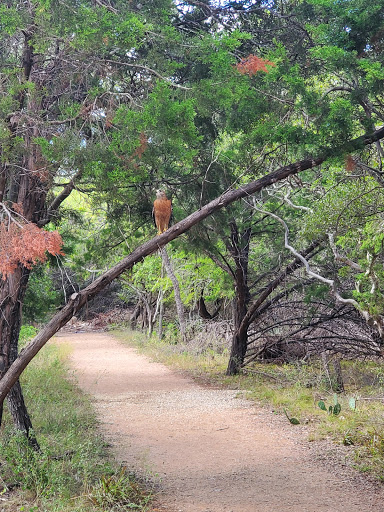 Park «Phil Hardberger Park», reviews and photos, 13203 Blanco Rd, San Antonio, TX 78216, USA