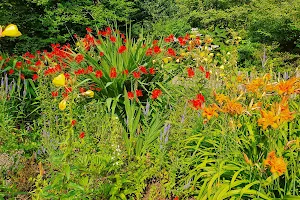 in Hamborn Botanical Garden image