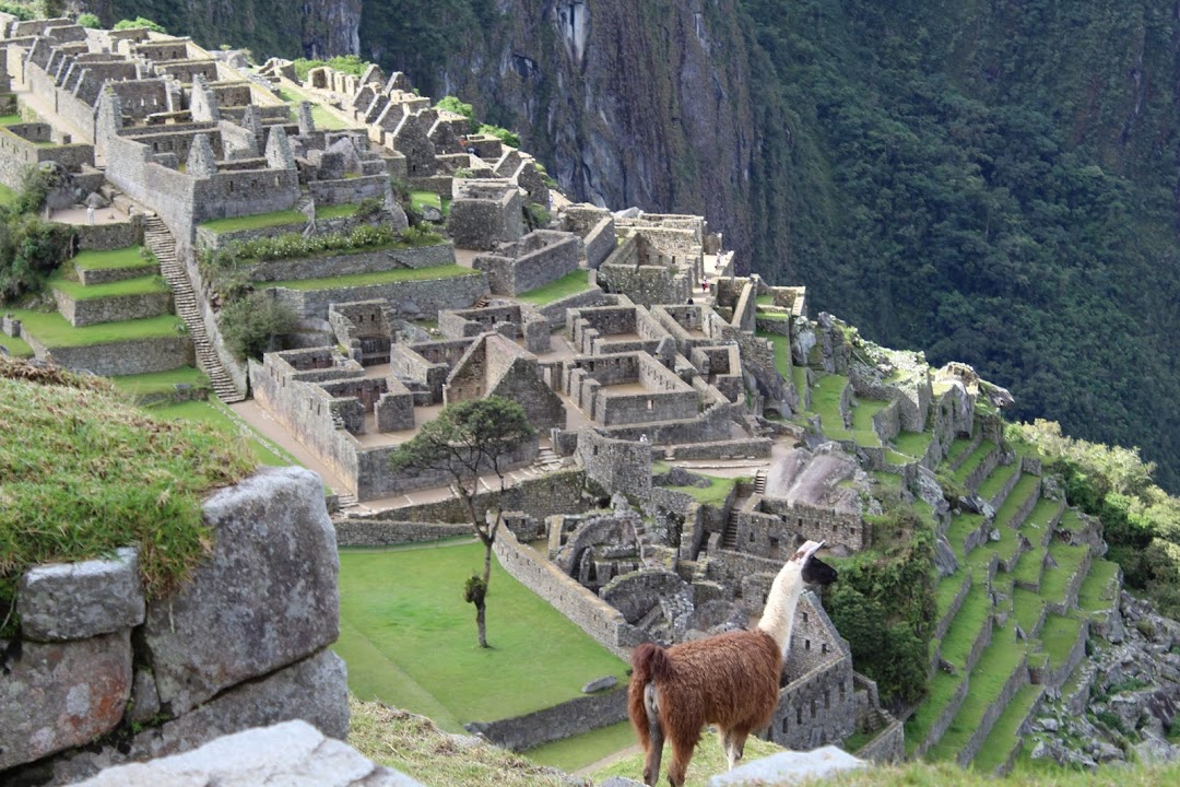 Porcell Tours Online Travel Agency Peru