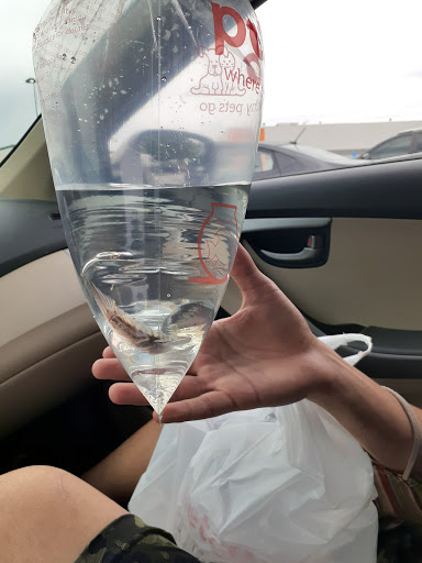 Pet Supply Store «Petco Animal Supplies», reviews and photos, 6140 University Dr, Huntsville, AL 35806, USA