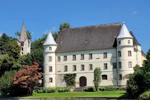 Schloss Hagenau image