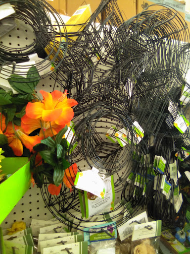 Dollar Store «Dollar Tree», reviews and photos, 8418 Van Nuys Blvd, Panorama City, CA 91402, USA