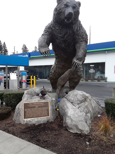 Self Service Car Wash «Brown Bear Car Wash», reviews and photos, 16048 Aurora Ave N, Shoreline, WA 98133, USA