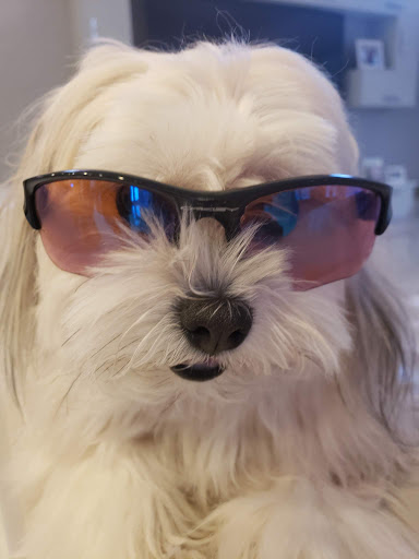 Pharmacy «Terrace Pharmacy», reviews and photos, 64 Carleton Ave # B, Islip Terrace, NY 11752, USA