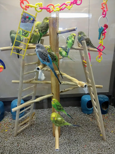 Pet Supply Store «Petco Animal Supplies», reviews and photos, 13311 20th Ave, College Point, NY 11356, USA