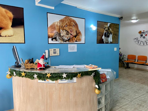 Pat Vet em São Paulo - SP