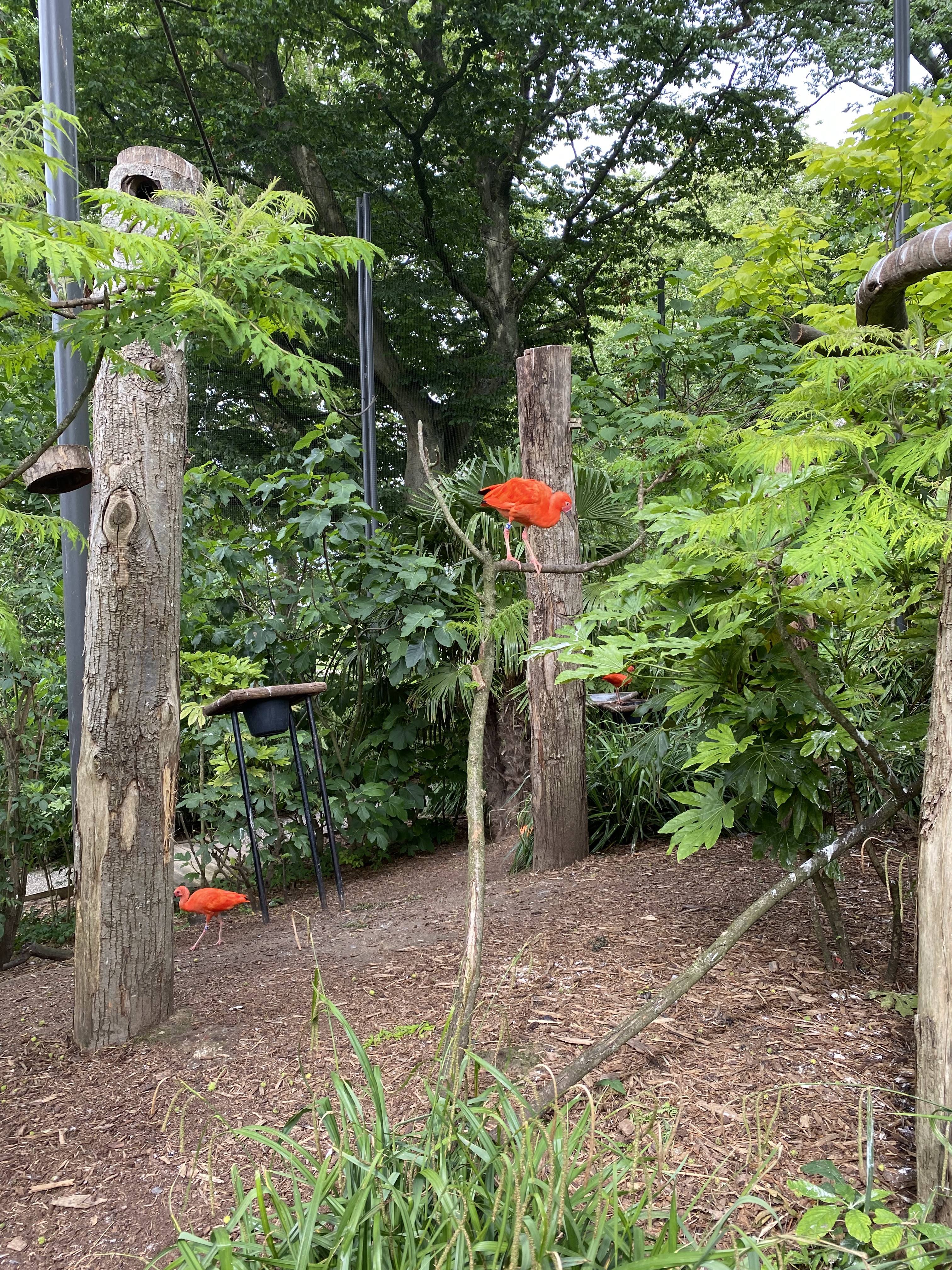 Photo n° 1 de l'avis de Oum.. fait le 11/06/2022 à 21:47