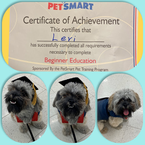 Pet Supply Store «PetSmart», reviews and photos, 156 Old Little Britain Rd, Newburgh, NY 12550, USA