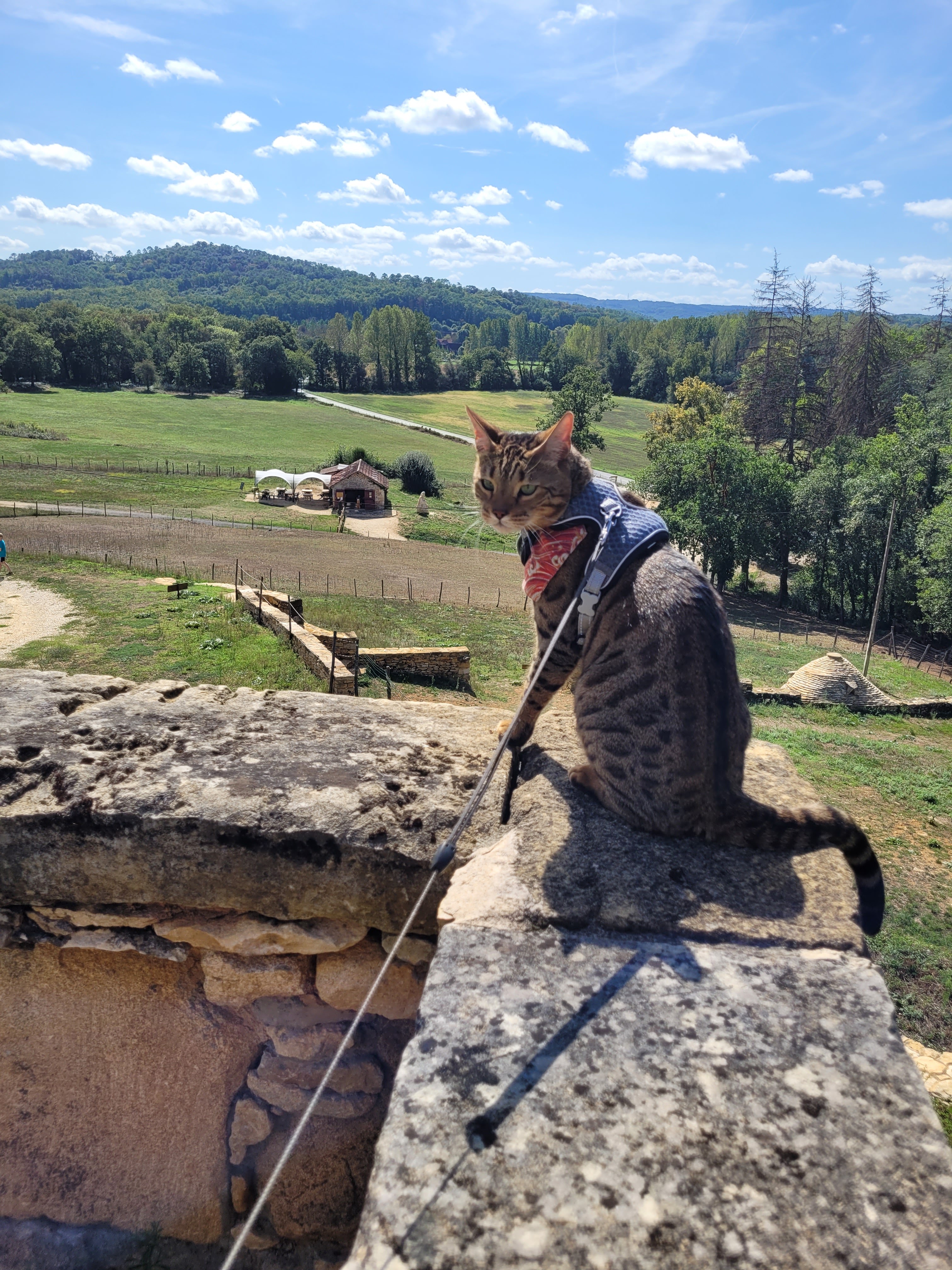 Photo n° 7 de l'avis de Aubry.o fait le 19/09/2023 à 13:04