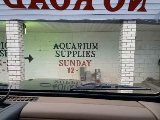 Pet Supply Store «Oddball Pets and Aquariums», reviews and photos, 262 Joseph St, Pittsburgh, PA 15227, USA