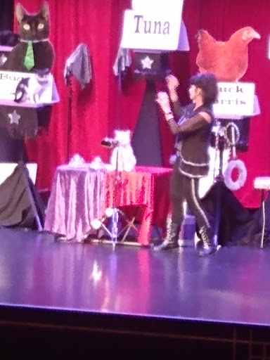 Performing Arts Theater «Diana Wortham Theatre», reviews and photos, 18 Biltmore Ave, Asheville, NC 28801, USA