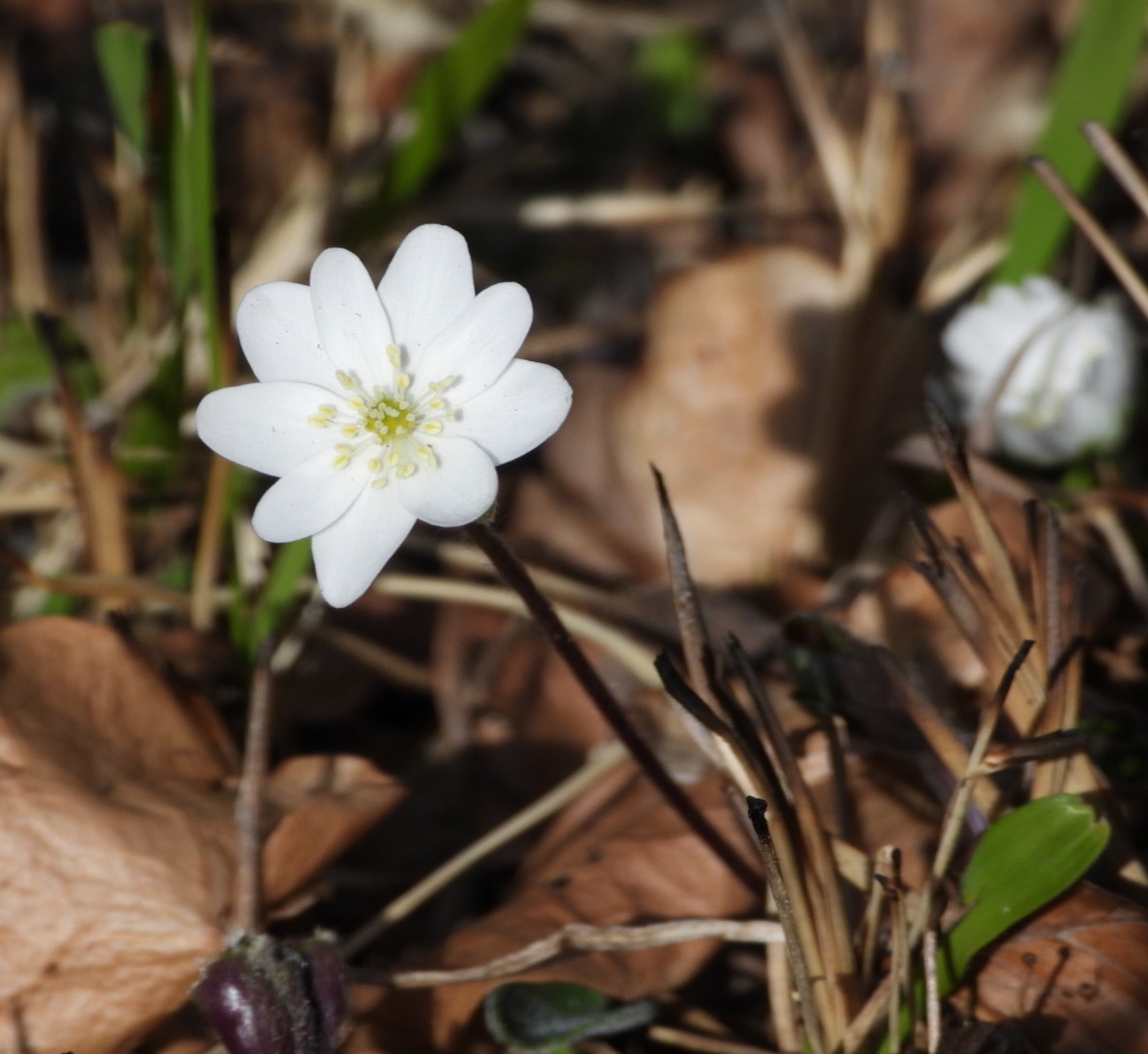 Photo n° 6 de l'avis de daunes.a fait le 15/04/2023 à 14:17