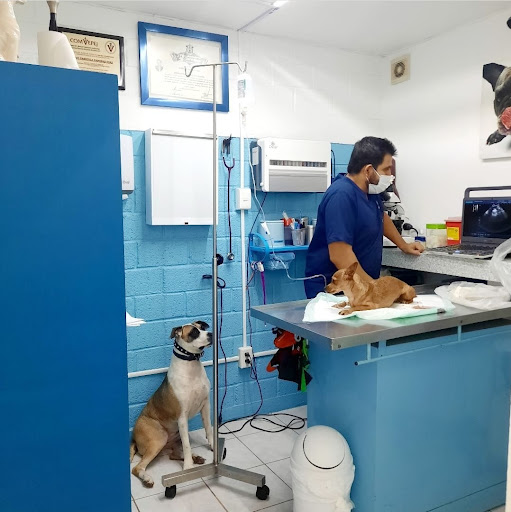 Farmacia veterinaria Zapopan