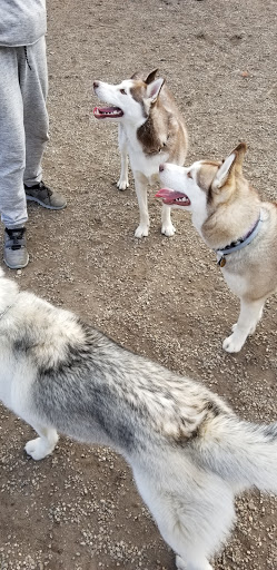 Park «Union Street Dog Park», reviews and photos, 59 Fair St, New Haven, CT 06511, USA