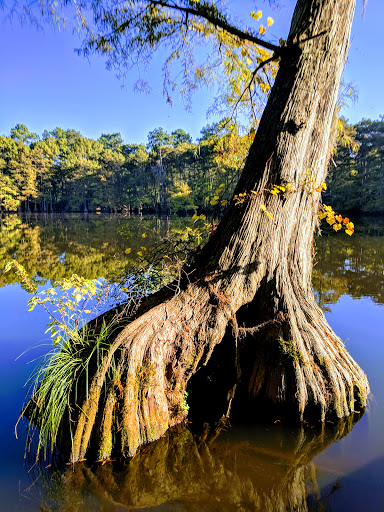 Park «Lake Houston Wilderness Park», reviews and photos, 25840 FM 1485, New Caney, TX 77357, USA