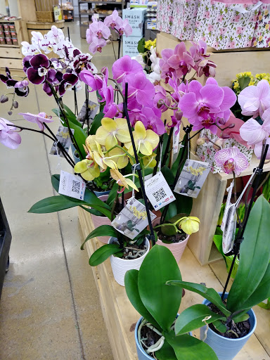 Natural Foods Store «Fresh Thyme Farmers Market- Fishers», reviews and photos, 11481 E 116th St, Fishers, IN 46037, USA