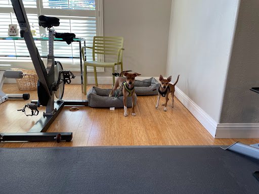 Personal Trainer «Living Lean», reviews and photos, 2 Orinda Theatre Square #140, Orinda, CA 94563, USA