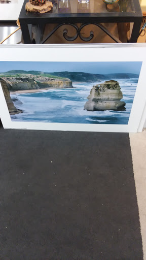 Thrift Store «SPCA of Northern Nevada Thrift Store», reviews and photos, 401 Vine St, Reno, NV 89503, USA