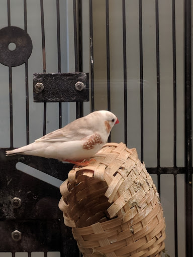 Pet Supply Store «Petco Animal Supplies», reviews and photos, 103 Commerce Way a, Woburn, MA 01801, USA