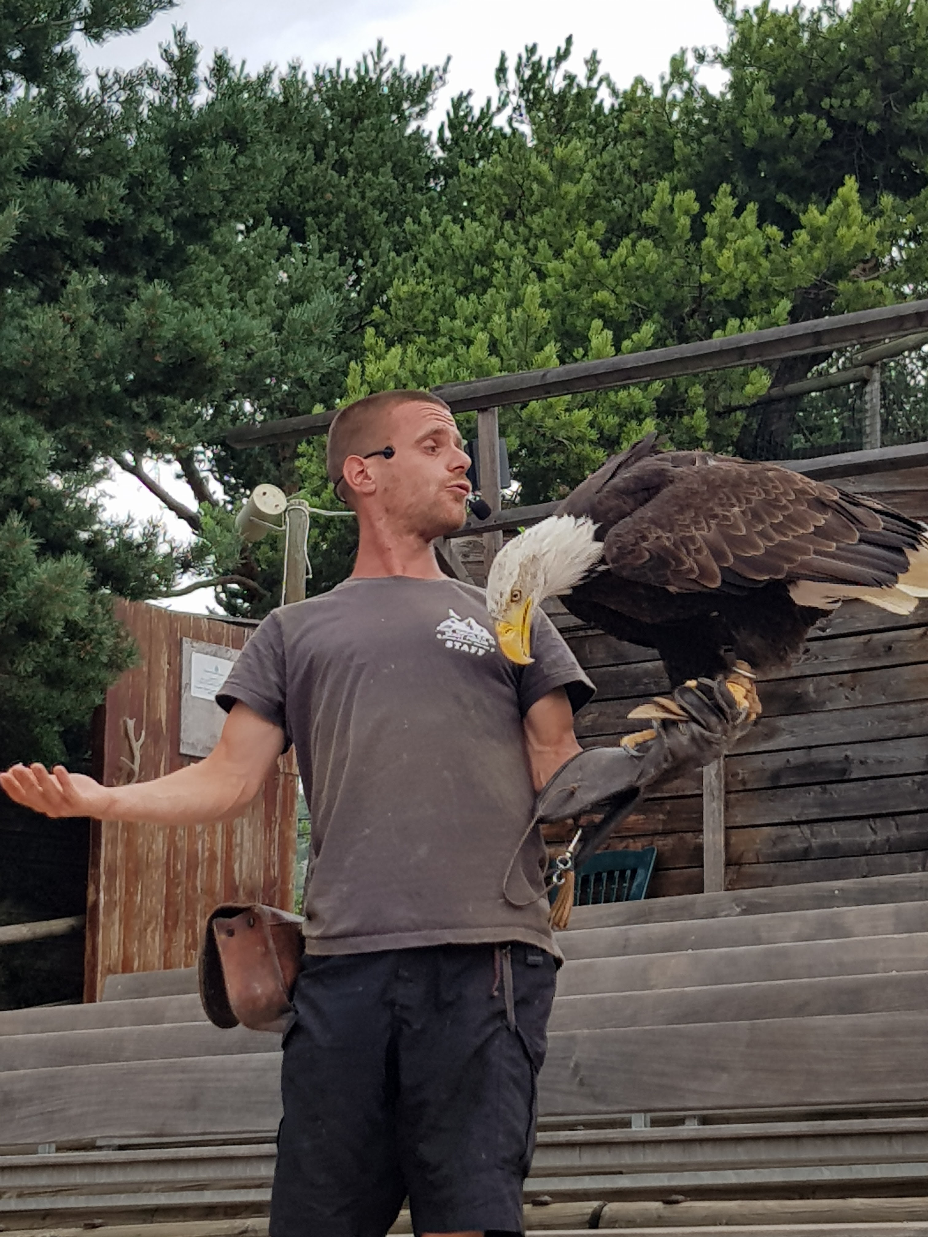 Photo n° 3 de l'avis de Altesiie.r fait le 07/09/2018 à 06:29