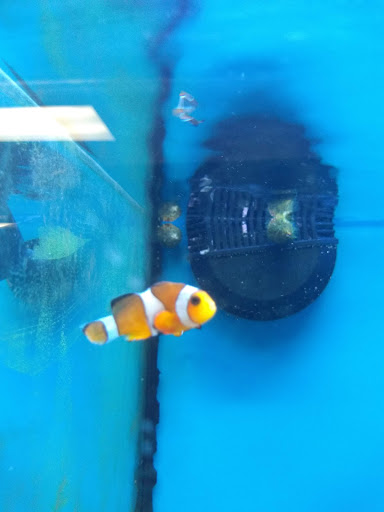 Pet Supply Store «Petco Animal Supplies», reviews and photos, 179 N Milwaukee St, Boise, ID 83704, USA