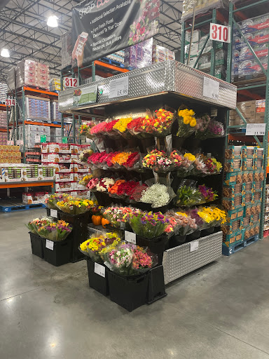 Costco Wholesale image